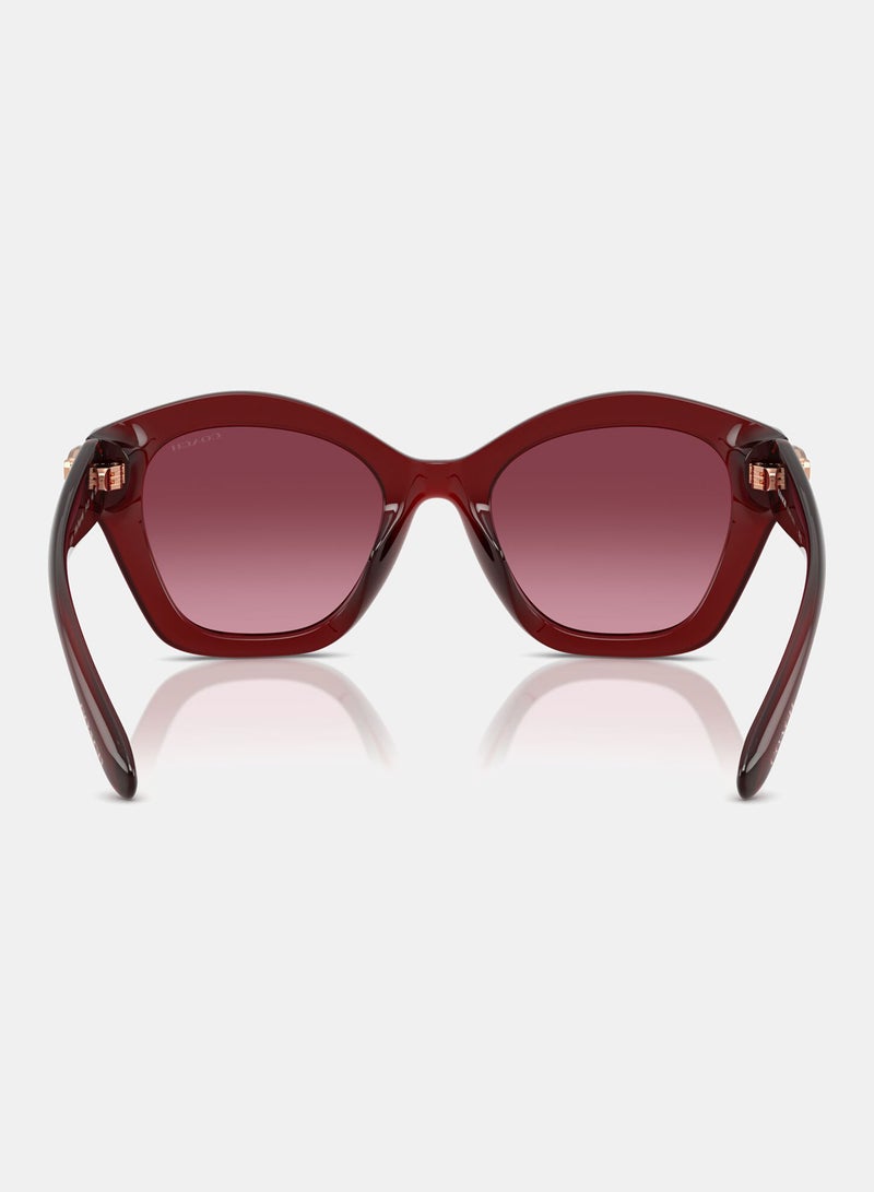 كوتش نظارة شمسية بإطار كامل غير منتظم 8421U, 54, 5870, 8H - Image 3